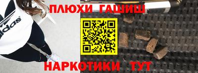 индика Дубна