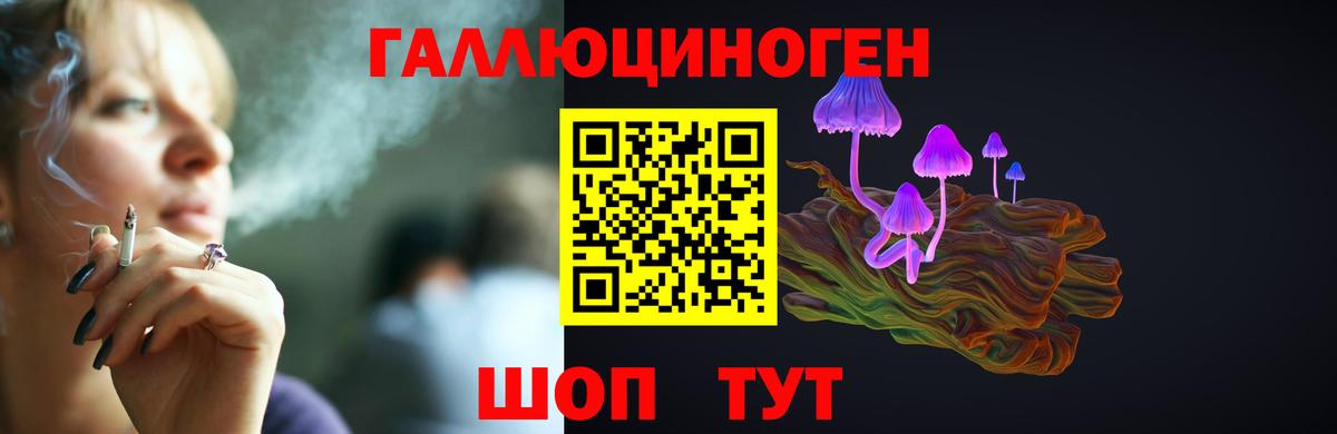 Назрань  Галлюциногенные грибы Magic Shrooms  Вход с VPN 